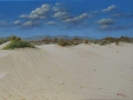 dunas2.jpg